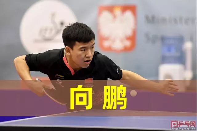 星的卓越表 星的卓越表