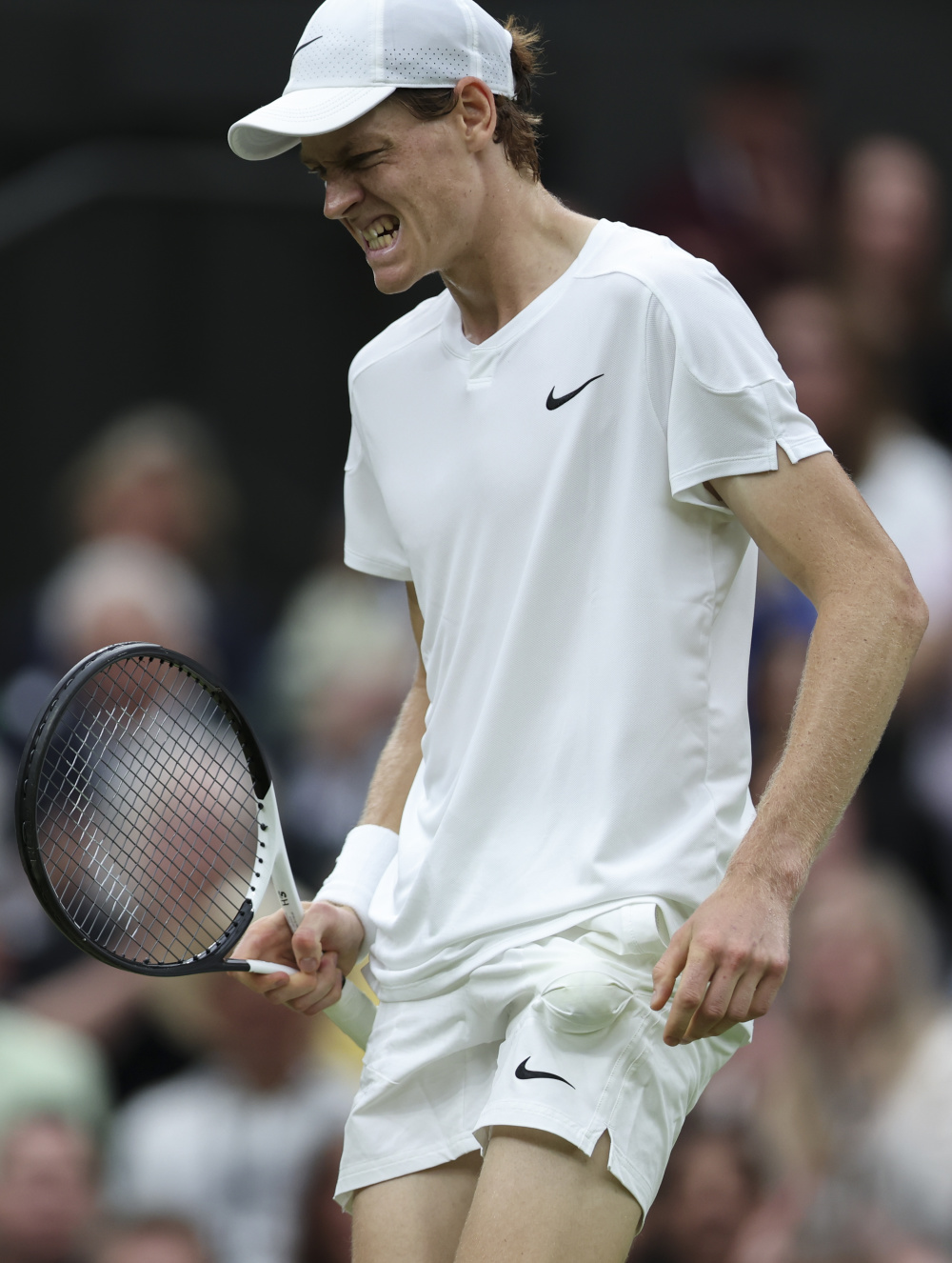 不仅能提高 不仅能提高