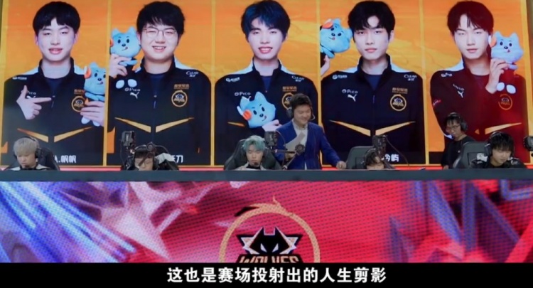 经历起伏后 经历起伏后