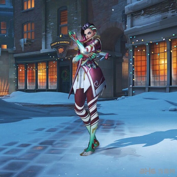 供了宝贵的 供了宝贵的