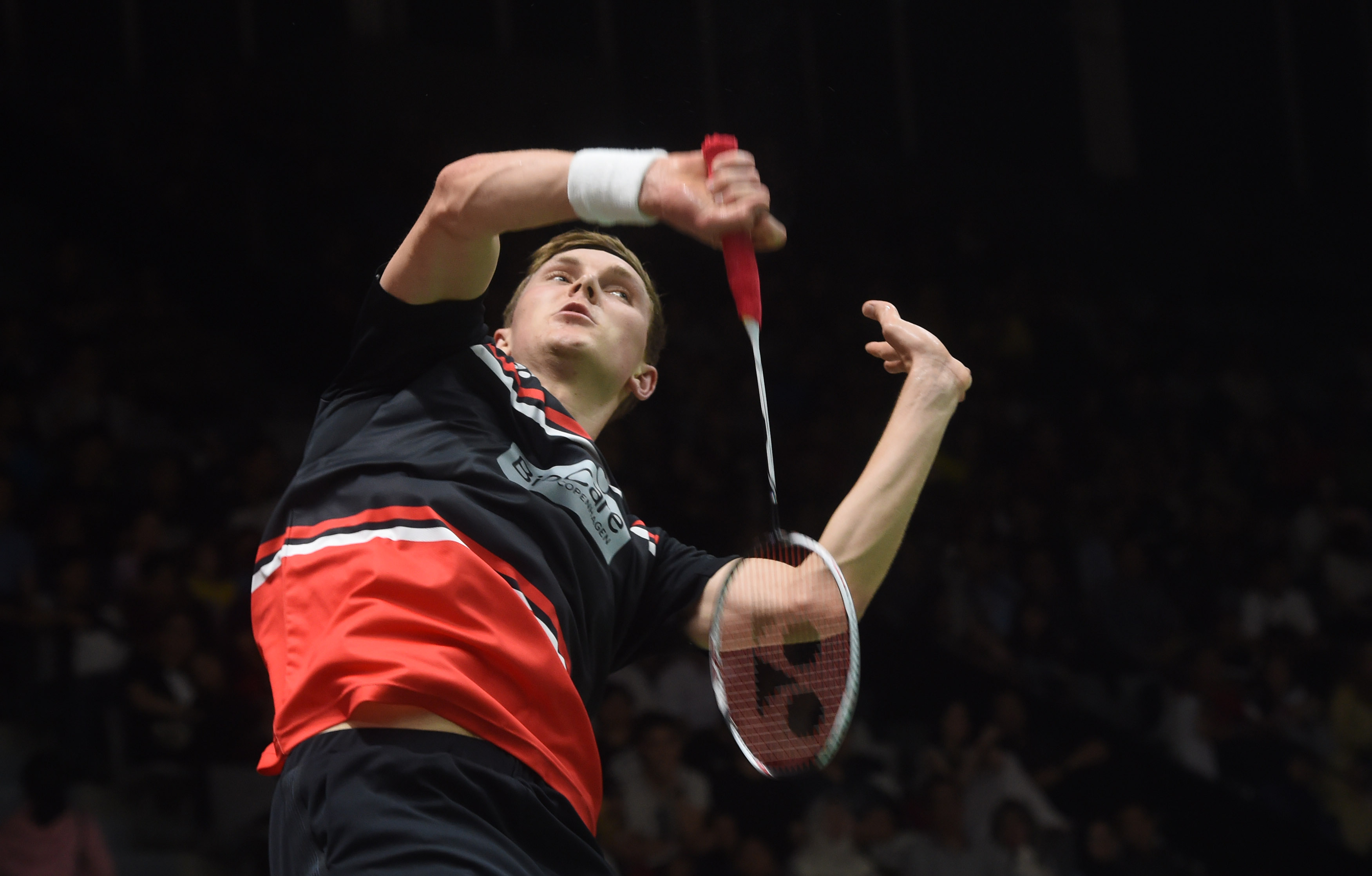 回望过往M 回望过往M